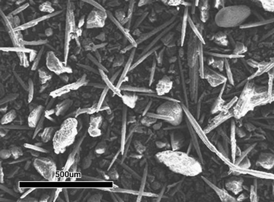 Competitor Needles Microscope View